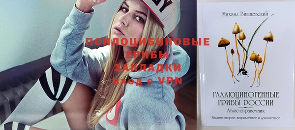 сатива Калининец