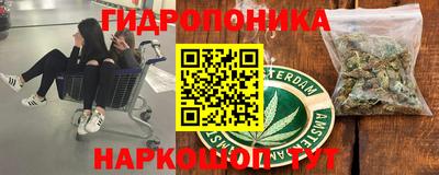 ешки Волгодонск