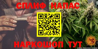 МДПВ Волжск