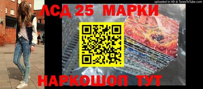 ешки Волгодонск