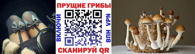 Галлюциногенные грибы ЛСД Камышин