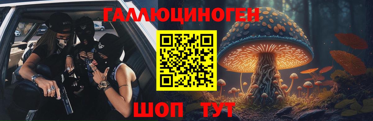 Камышин  Псилоцибиновые грибы мицелий  Вход с VPN 