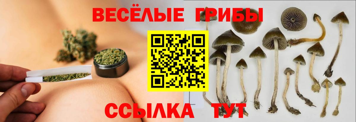 Ляпка  MDMA  МЕФ  Марихуана  COCAIN  КОКАИН  Камышин  Хэш  МЕФ  LSD-25  Марихуана  Вход с VPN  Альфа ПВП 