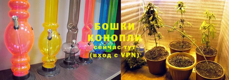 Марихуана LSD WEED  МЕГА как войти  Камышин  магазин   